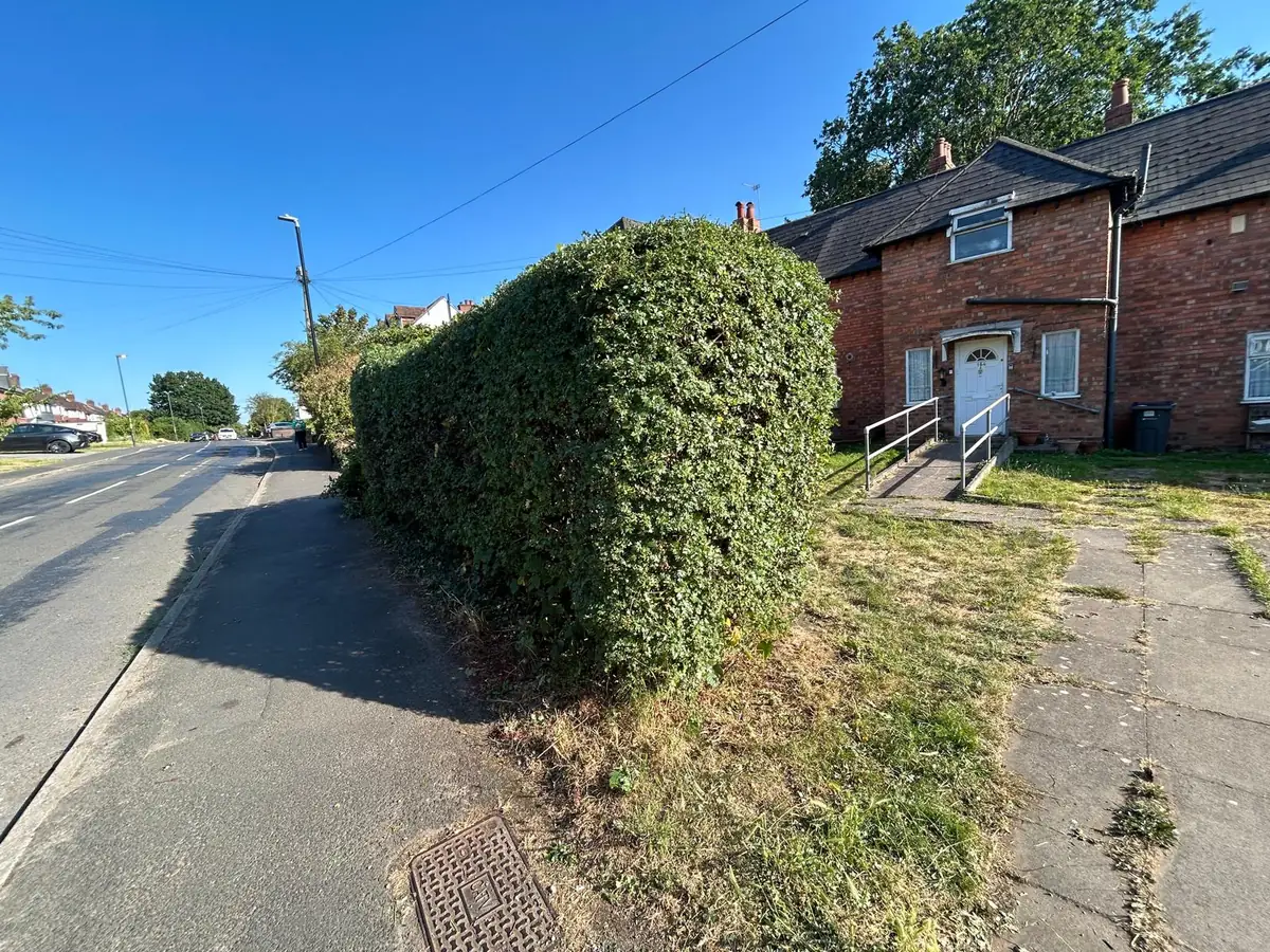 Roadside Hedge Trim after