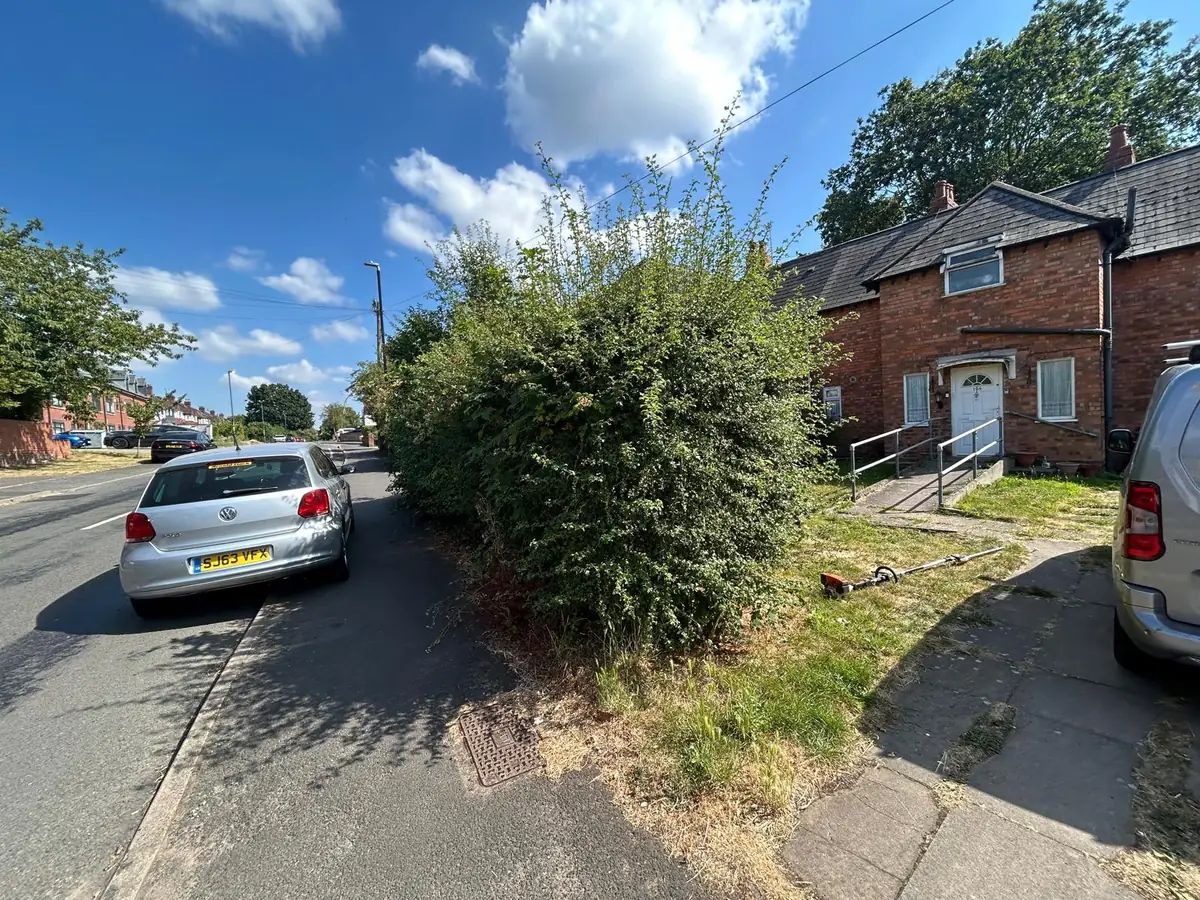 Roadside Hedge Trim before