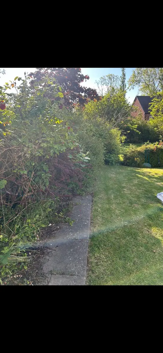 Garden Path Clearance before