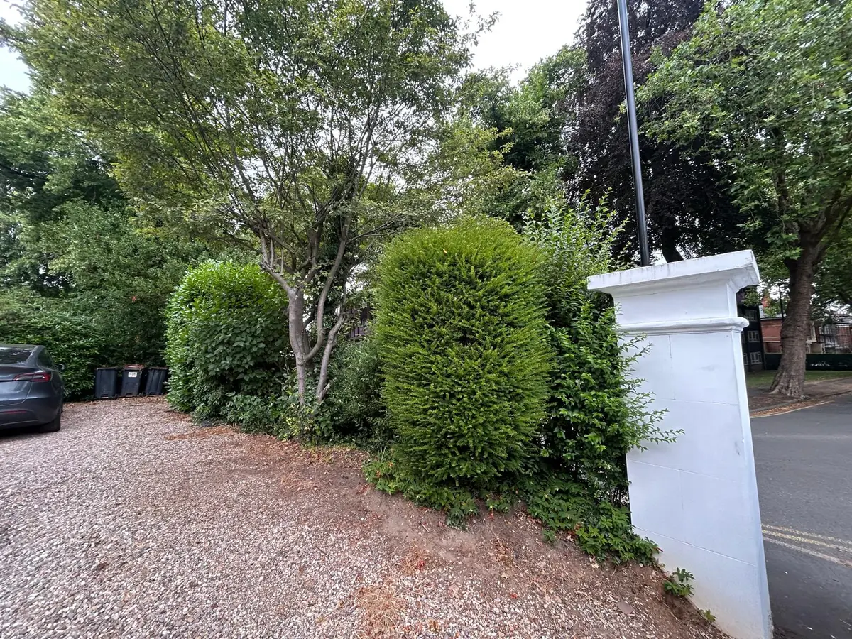 Driveway Entrance Cut-Back before