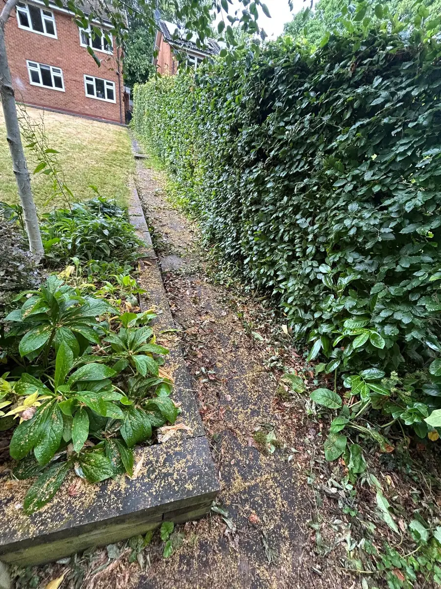 Side Path Clearance before